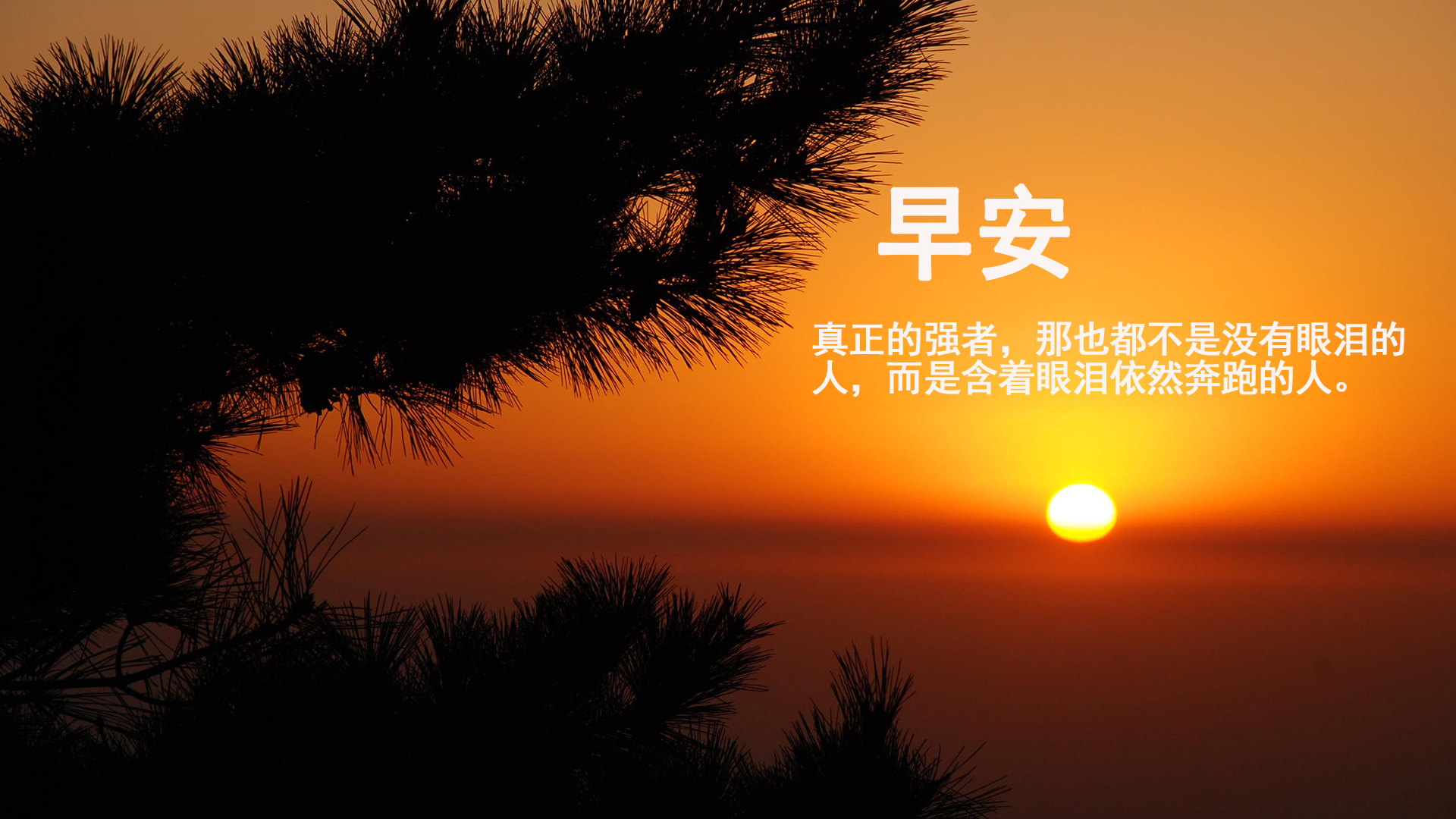 COVID-19如何改變搜尋結(jié)果頁(yè)？