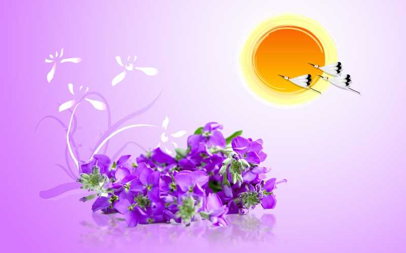 CSS3 transform屬性