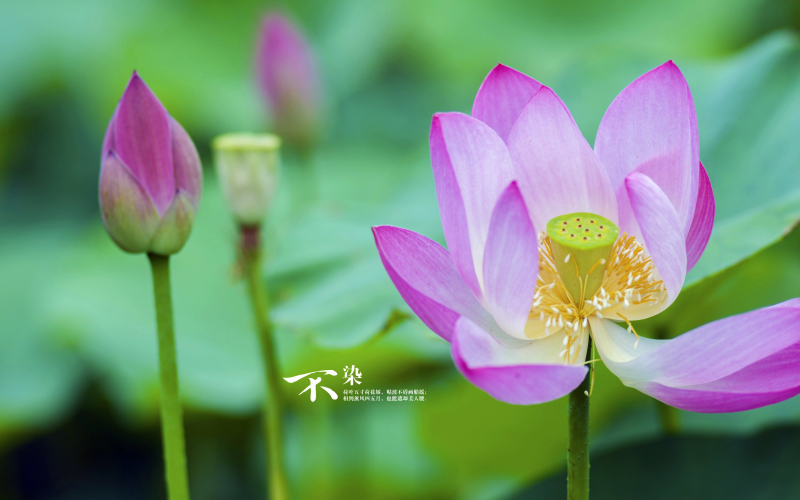 如何優(yōu)化移動(dòng)端策略