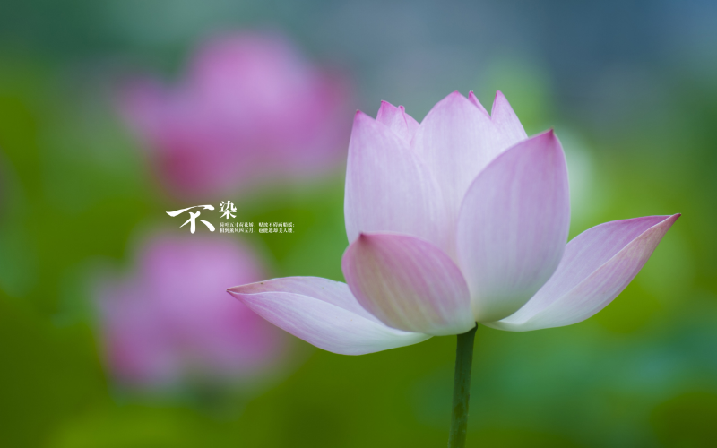 育兒如何寫文案短句
