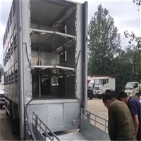 智能化畜禽運輸車助力大豬價格上漲與疫病防控
